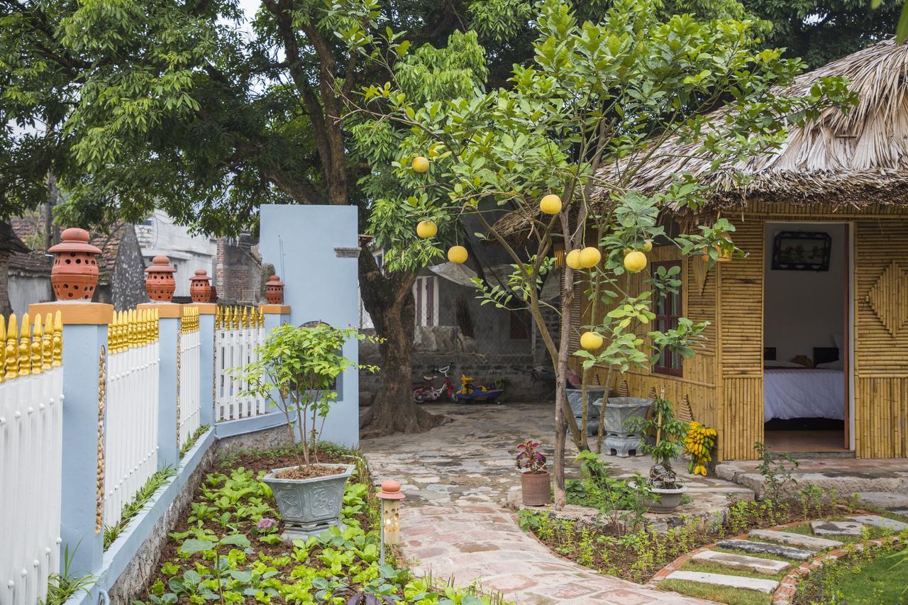 Tam Coc Palm House Villa Ninh Bình Exteriör bild